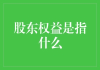 股东权益：企业价值的衡量与股东回报的基石