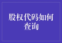 股权代码查询：在股市海洋中寻找你的宝藏之路