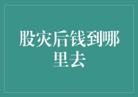 股灾后钱到哪里去？股市新人的自救指南