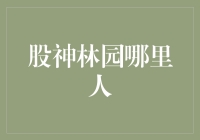 传奇人物股神林园：从安徽宣城走出来的投资巨擘