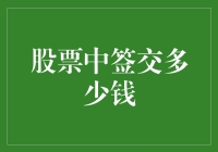 股票中签交多少钱：新股发行中的成本考量