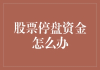 股票停盘，资金怎么办？别怕，这里有妙招！