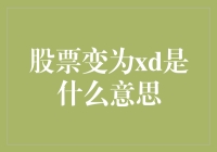 股票变为XD：股市术语详解与投资策略分析