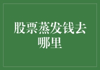 股票蒸发的钱去哪里了：一个隐秘的金融迷宫