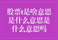 哥，你说的股票t是啥意思啊？我快被绕晕了！