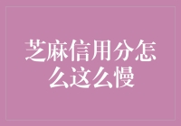 芝麻信用分升级过程中用户反馈：为何上升速度如此之慢？