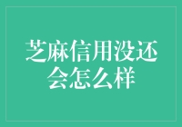 芝麻信用没还会怎么样：深度解读信用体系下的金融风险与机遇