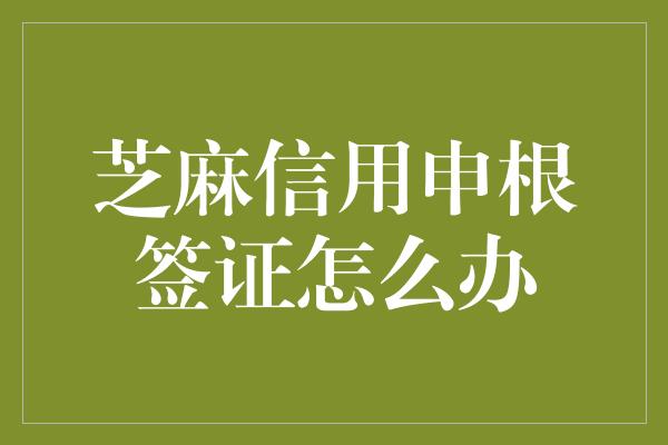 芝麻信用申根签证怎么办