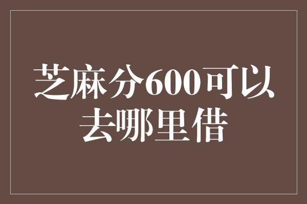 芝麻分600可以去哪里借