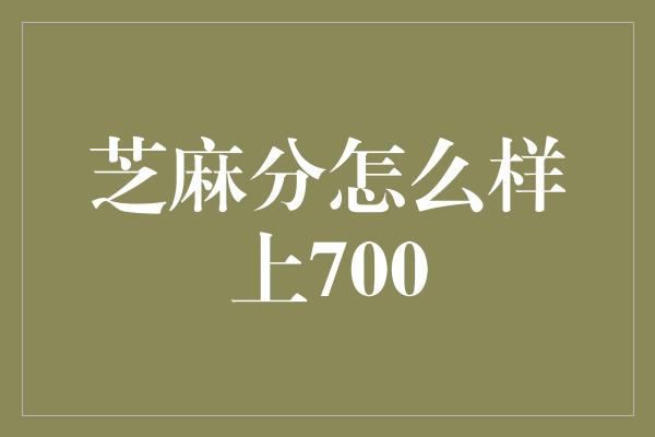 芝麻分怎么样上700