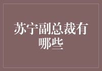 苏宁的霸道副总裁：我最大的成就就是让老板不给我加薪