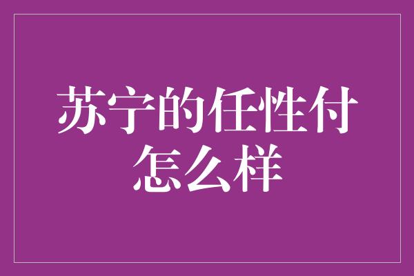 苏宁的任性付怎么样