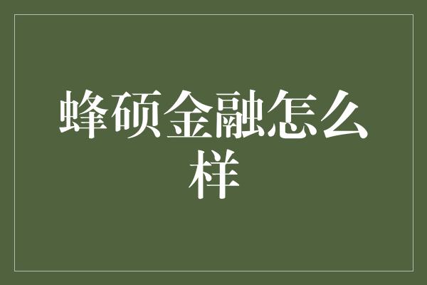 蜂硕金融怎么样