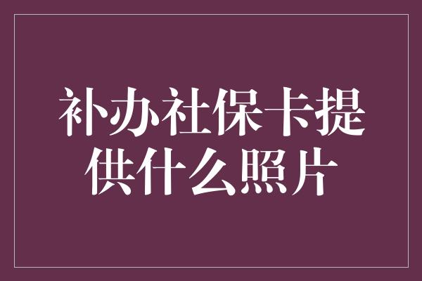 补办社保卡提供什么照片