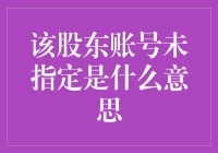 股东账户未指定意味着什么：理解企业财务中的重要概念