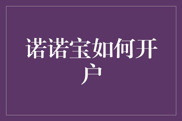 诺诺宝如何开户