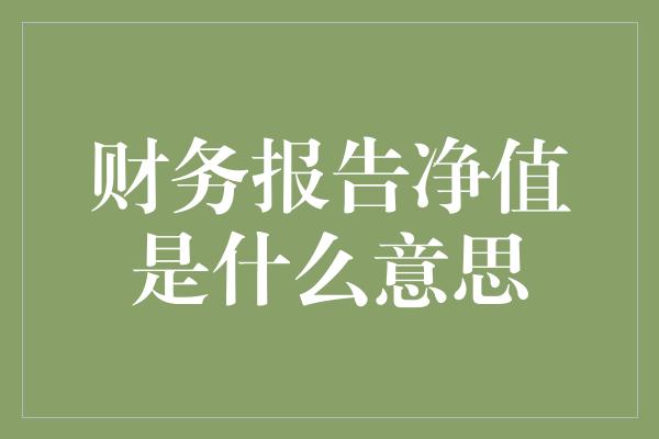 财务报告净值是什么意思