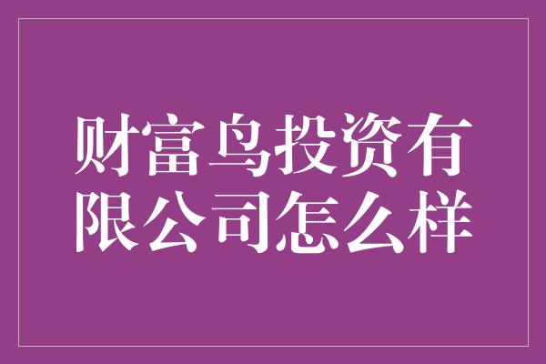 财富鸟投资有限公司怎么样