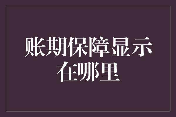 账期保障显示在哪里