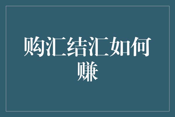 购汇结汇如何赚