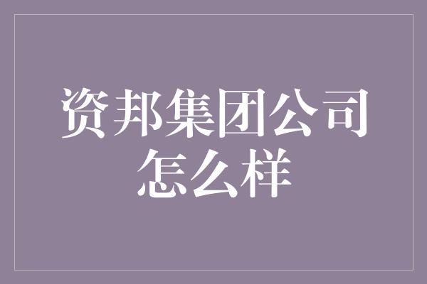 资邦集团公司怎么样