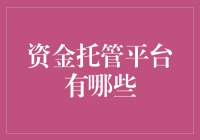 资金托管平台：探索新型金融工具的机遇与挑战