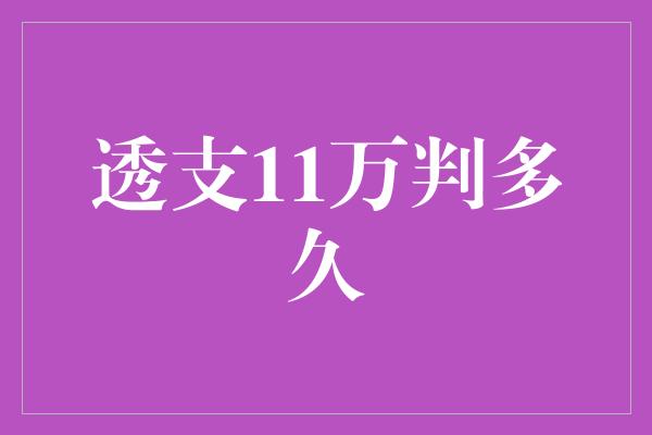 透支11万判多久