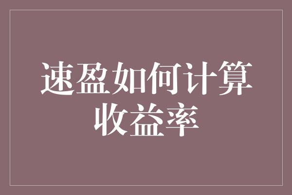 速盈如何计算收益率