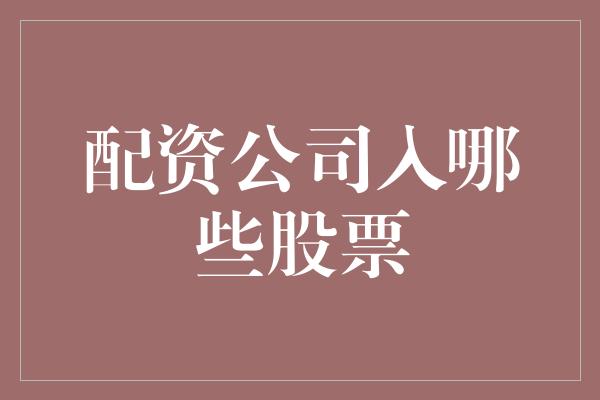 配资公司入哪些股票