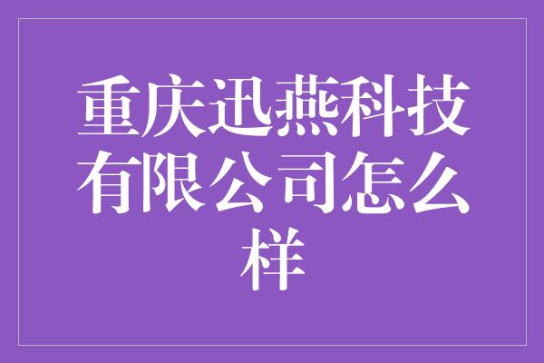 重庆迅燕科技有限公司怎么样