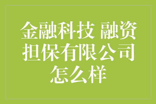 金融科技 融资担保有限公司怎么样