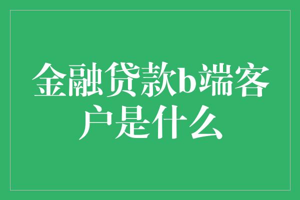 金融贷款b端客户是什么