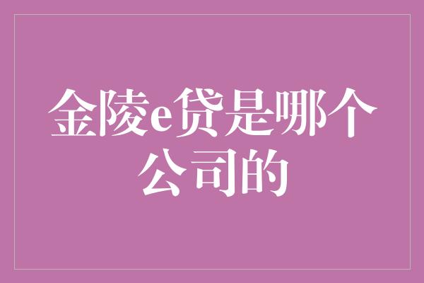 金陵e贷是哪个公司的