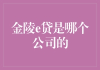 金陵e贷：互联网金融界的吴语翻译王