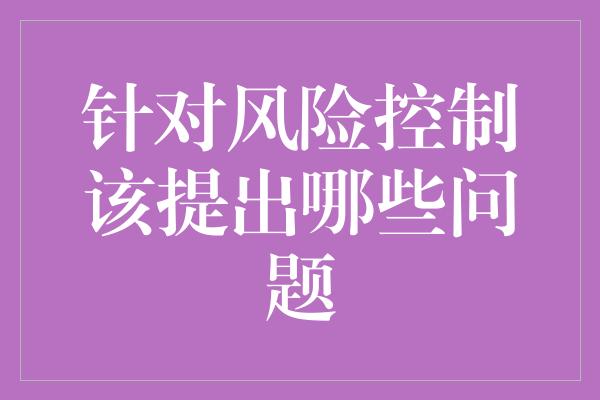 针对风险控制该提出哪些问题