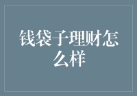 钱袋子理财：智能理财平台引领个人财务管理新潮流