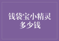 钱袋宝小精灵：数字财富的守护神