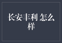 长安丰利：打造中国领先的金融科技服务品牌