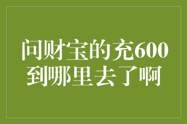 问财宝的充600到哪里去了啊