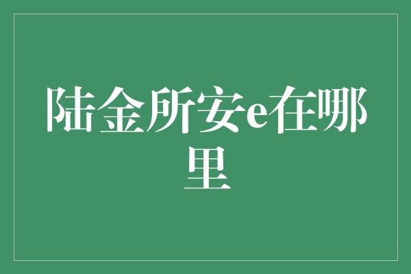 陆金所安e在哪里