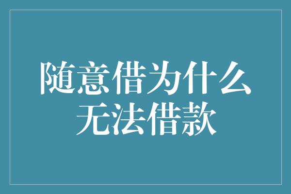 随意借为什么无法借款