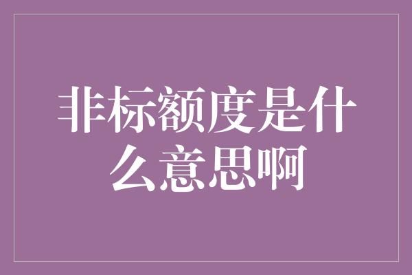 非标额度是什么意思啊