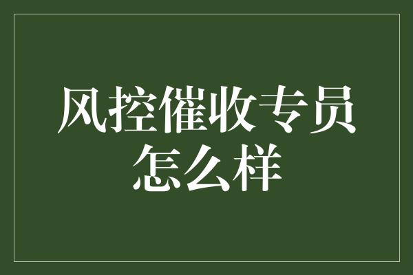 风控催收专员怎么样