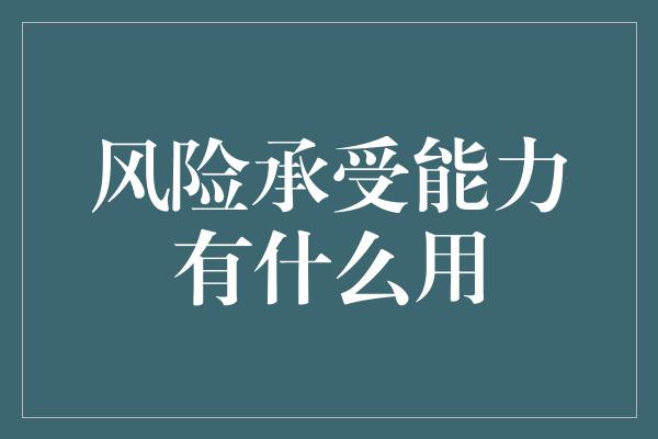 风险承受能力有什么用