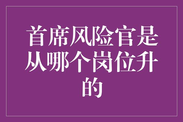 首席风险官是从哪个岗位升的