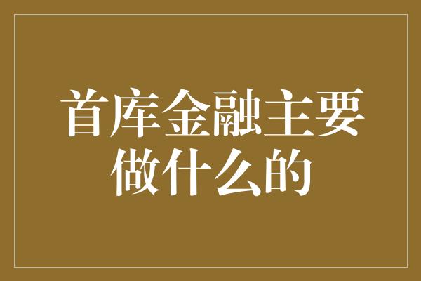 首库金融主要做什么的