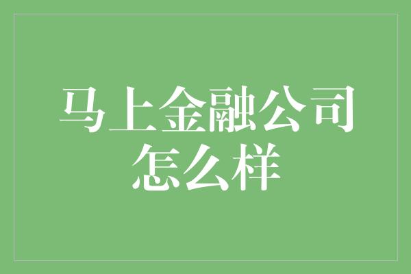 马上金融公司怎么样