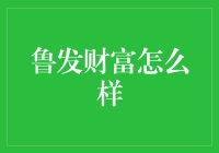 鲁发财富：金融投资领域的新锐力量