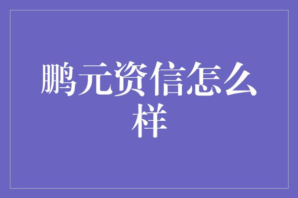 鹏元资信怎么样