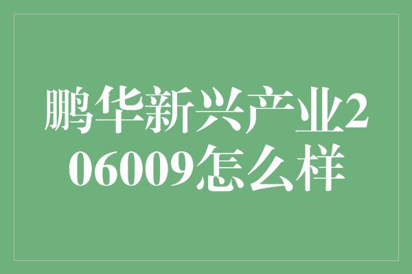 鹏华新兴产业206009怎么样